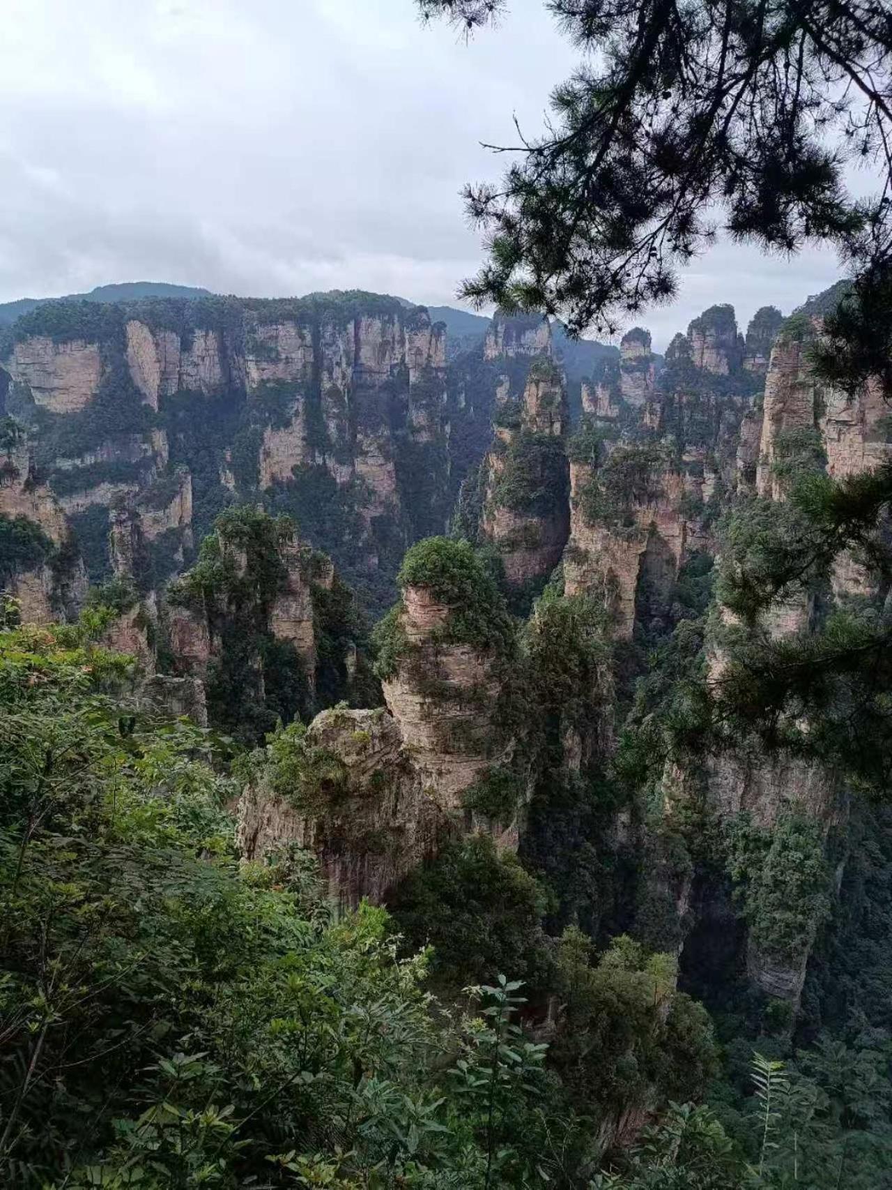 Family Hotel Zhangjiajie Esterno foto